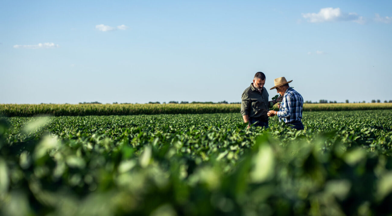 photo of farmer and agronomist - BiOWiSH CDT vs On-Farm Demo Trials