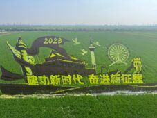 Syngenta MAP-Tianjin facility rice art