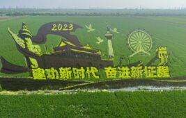 Syngenta MAP-Tianjin facility rice art