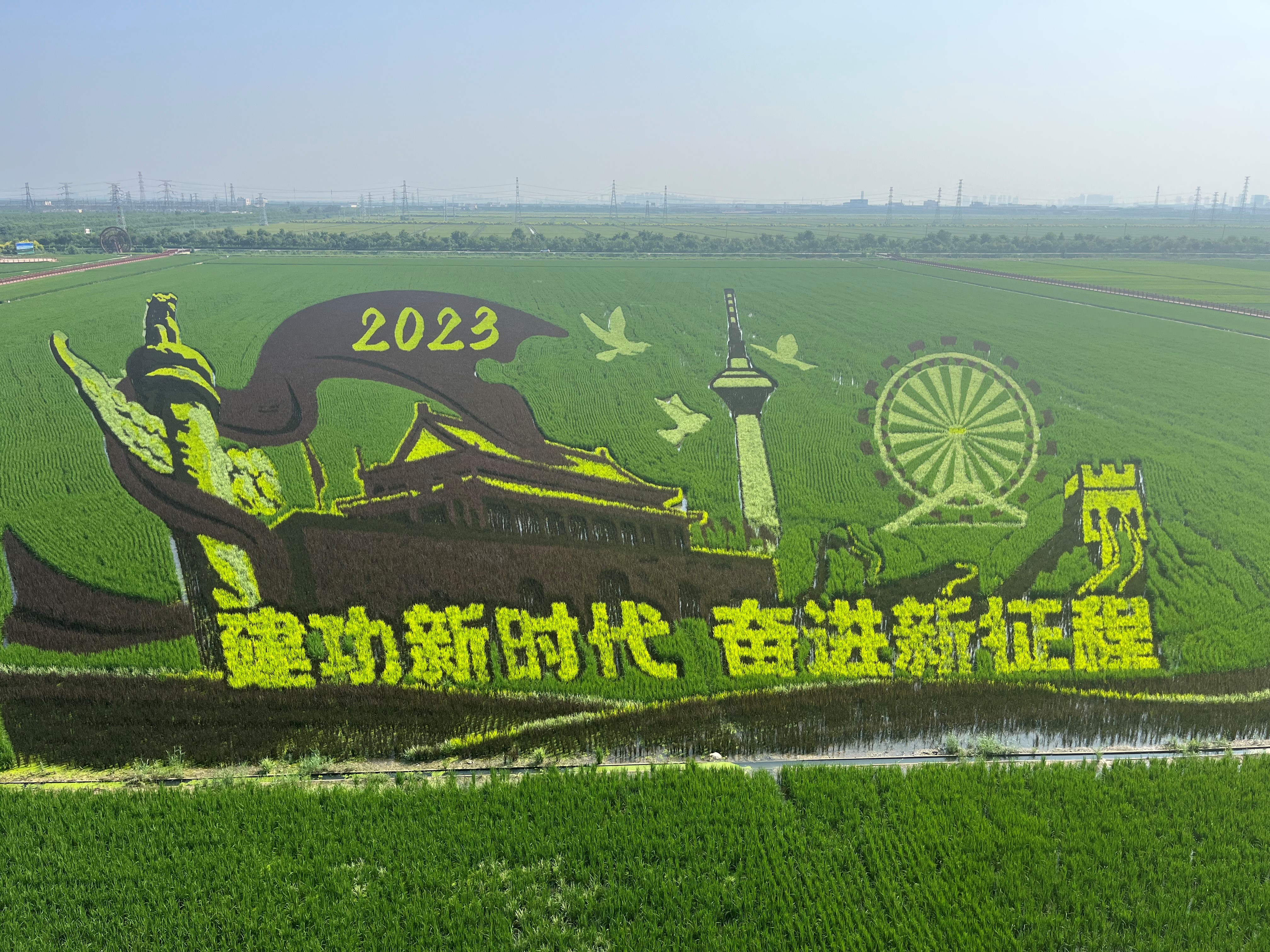 Syngenta MAP-Tianjin facility rice art