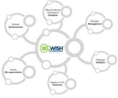 technology-core-capabilities technology-core-capabilities
